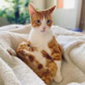 Meet your Posher, Ms.lauren